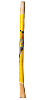 Lionel Phillips Didgeridoo (JW896)